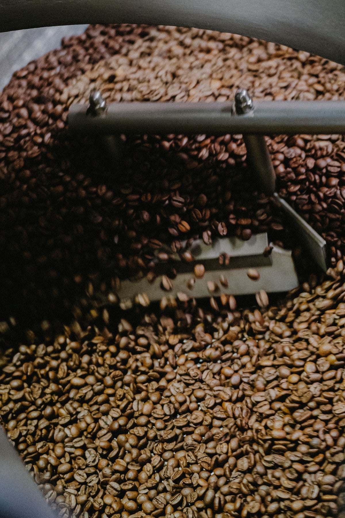 Vers gebrande koffiebonen in de koeltrommel, bijna klaar om te verpakken
