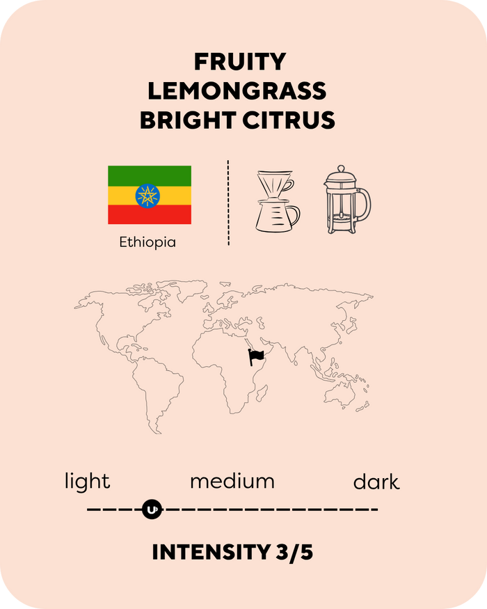 Ethiopia Yirgacheffe Rudo Nato