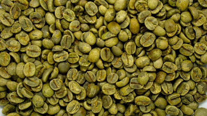 Arabica vs. Robusta: wat is het verschil?