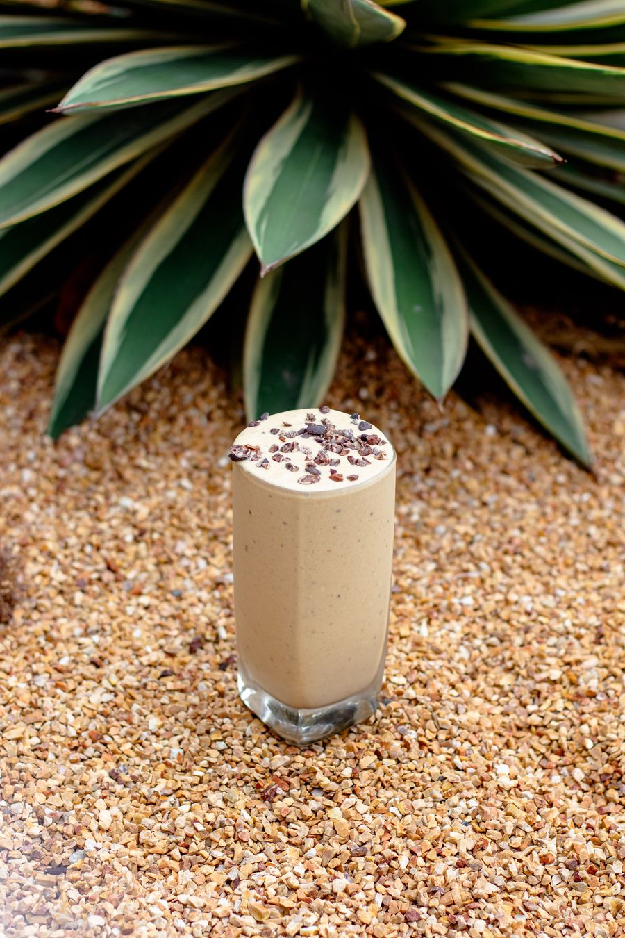 Coffee protein smoothie